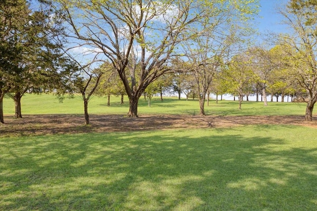 3529 Bennett Ln, Sherman, TX 75092 - view of property's community featuring a lawn