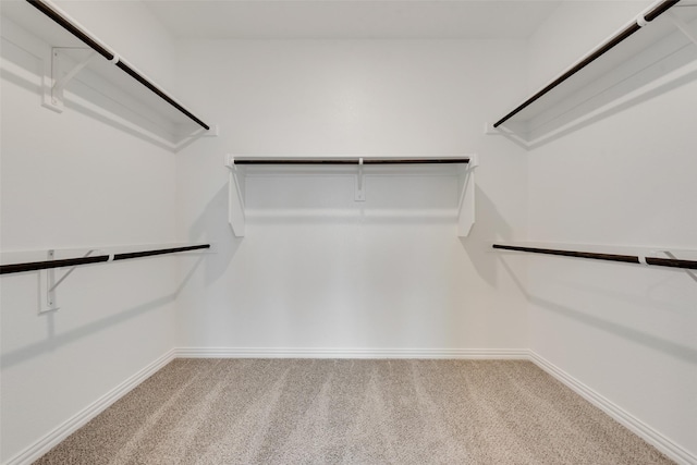 walk in closet featuring carpet