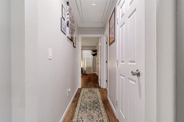 corridor with dark hardwood / wood-style flooring