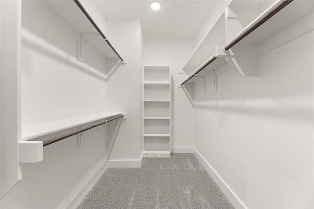 walk in closet with carpet flooring