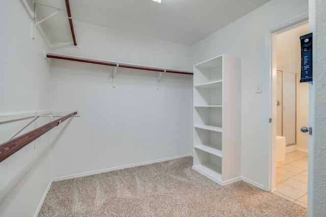 spacious closet featuring light colored carpet