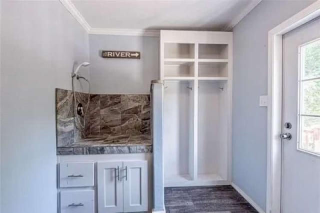 mudroom featuring dark hardwood / wood-style floors and crown molding