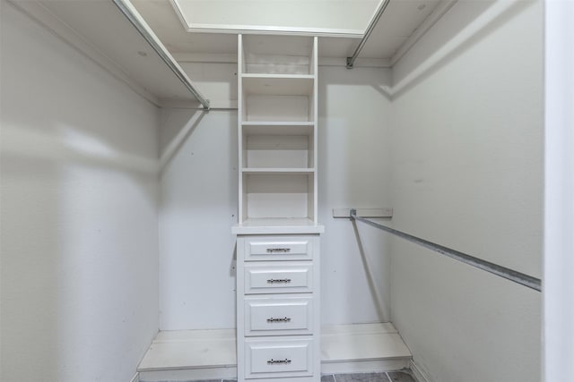 view of walk in closet