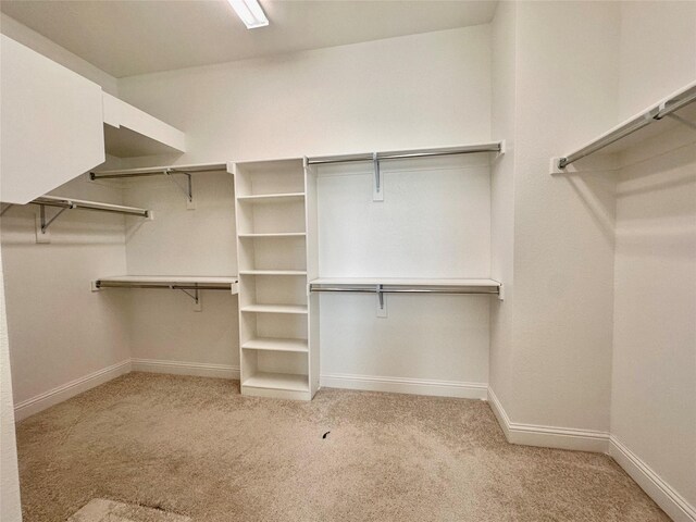 spacious closet with light colored carpet