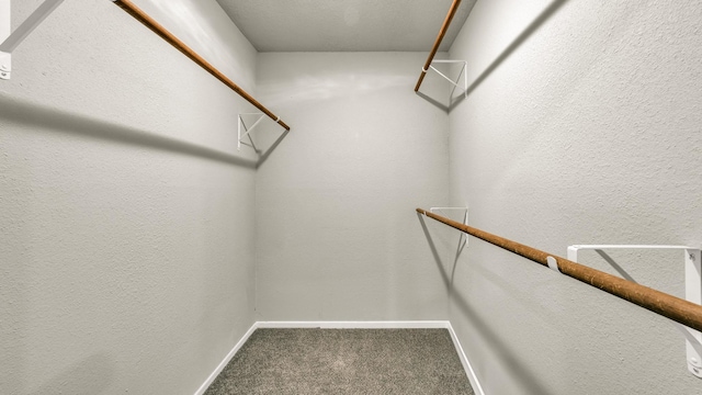 spacious closet with carpet floors