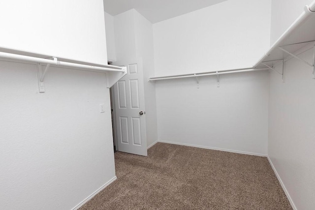 spacious closet with carpet flooring