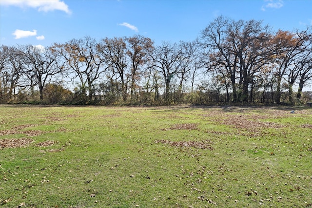 view of yard with a rural view