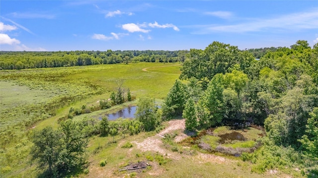 drone / aerial view with a water view and a rural view