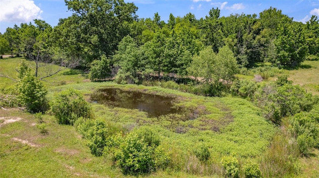 view of nature with a water view