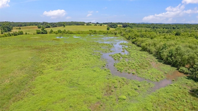 bird's eye view with a rural view and a water view