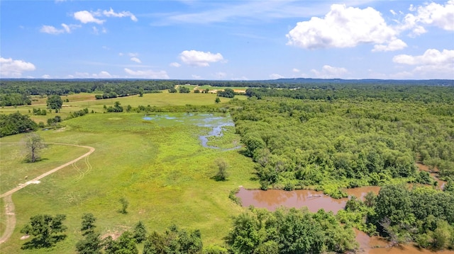 bird's eye view featuring a water view and a rural view