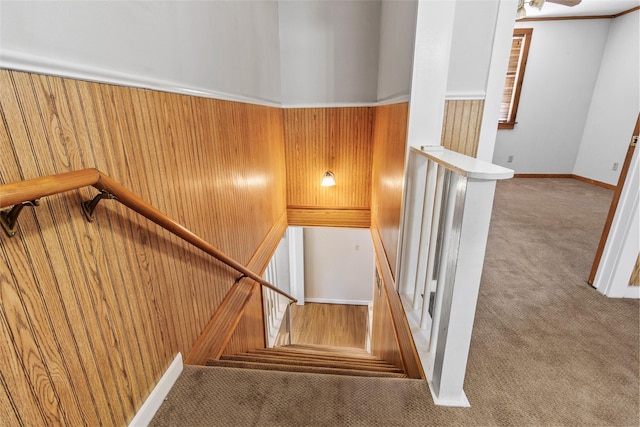 stairs with carpet floors