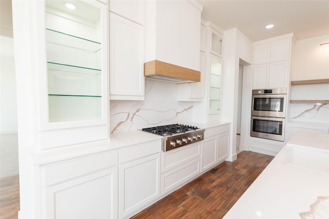 kitchen featuring custom exhaust hood, white cabinetry, dark hardwood / wood-style floors, stainless steel appliances, and decorative backsplash