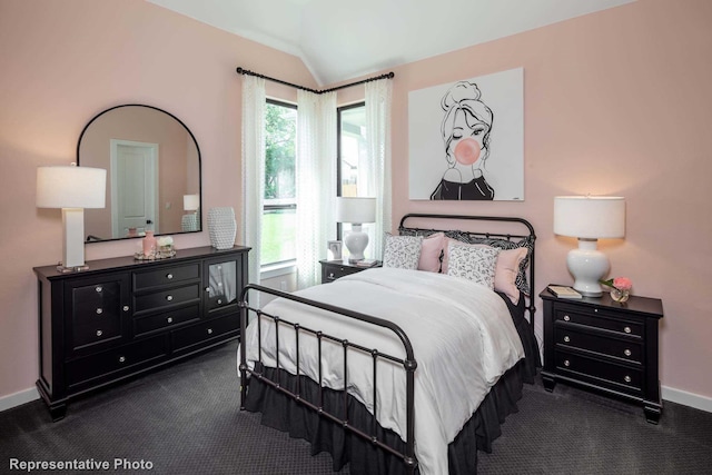 4121 Buffalo Clover Dr, Aubrey, TX 76227 - bedroom featuring dark colored carpet and lofted ceiling