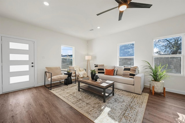 living room featuring ceiling fan and wood-type flooring