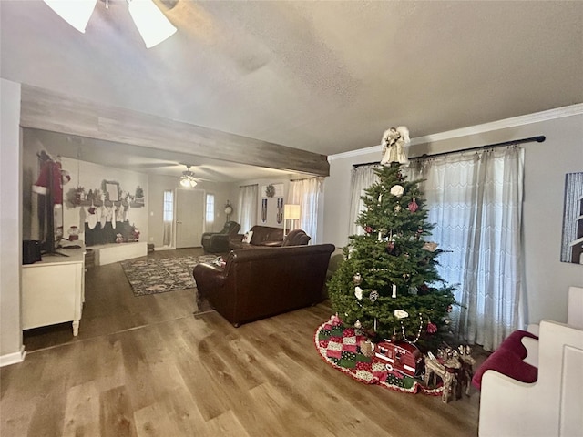 living room with ceiling fan, ornamental molding, a textured ceiling, and hardwood / wood-style flooring