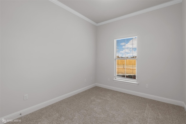 spare room with carpet flooring and crown molding