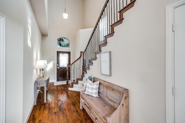 foyer entrance featuring dark wood-type flooring and a high ceiling