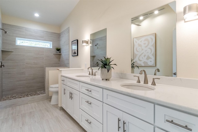 bathroom with vanity, toilet, and a tile shower