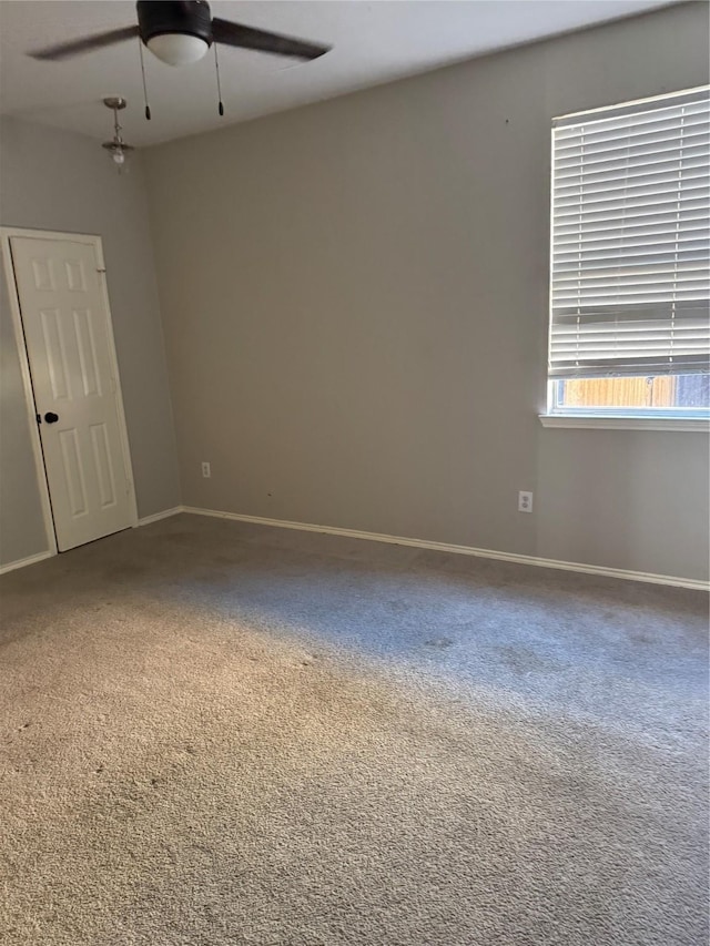 unfurnished room featuring ceiling fan and carpet floors