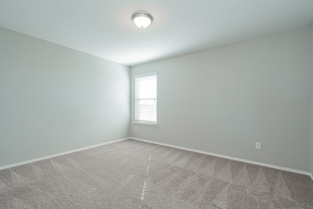 spare room with carpet