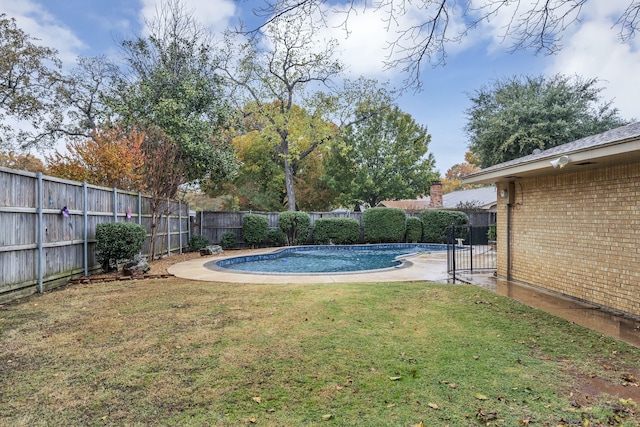 view of swimming pool with a yard