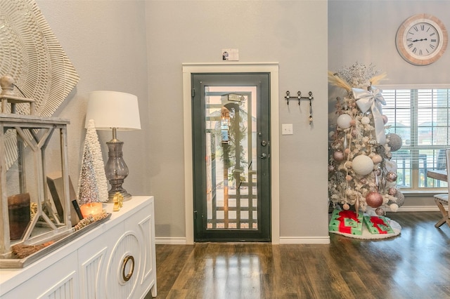 entrance foyer with dark hardwood / wood-style floors