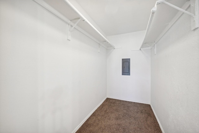 spacious closet with carpet flooring and electric panel