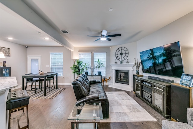 living room with ceiling fan and wood-type flooring