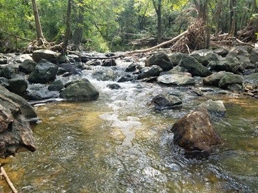 view of landscape