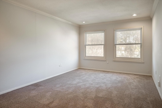 spare room with carpet flooring and crown molding