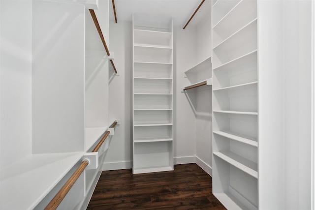 spacious closet featuring dark hardwood / wood-style flooring