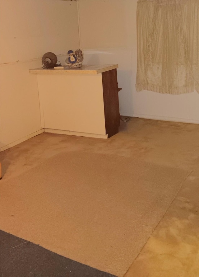 basement featuring carpet