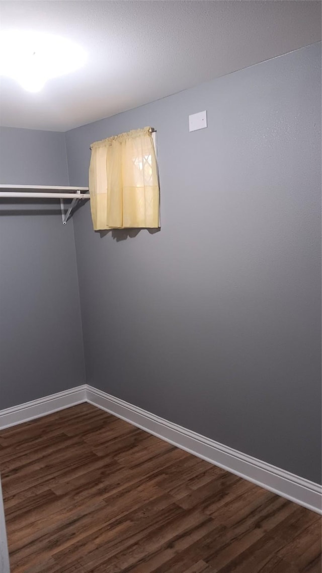 spacious closet featuring dark wood-type flooring