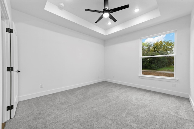 spare room featuring carpet and a raised ceiling