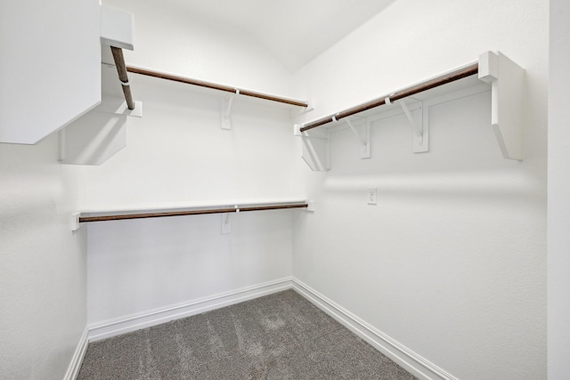 spacious closet with carpet flooring and lofted ceiling