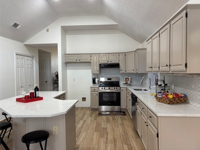 kitchen featuring lofted ceiling, backsplash, sink, light wood-type flooring, and stainless steel appliances