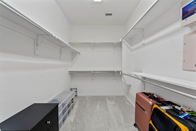 spacious closet featuring light carpet