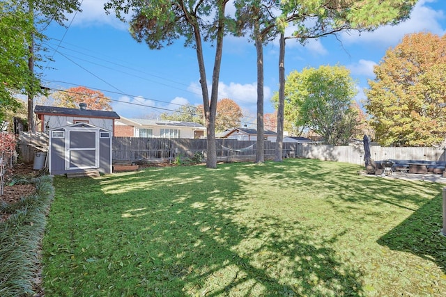 view of yard featuring a shed