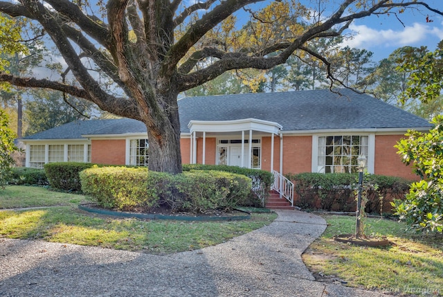 ranch-style home with a front yard