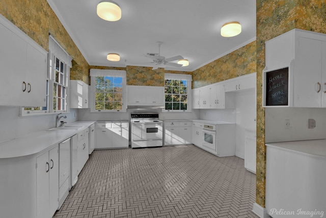 kitchen featuring white appliances, sink, ceiling fan, ornamental molding, and white cabinetry