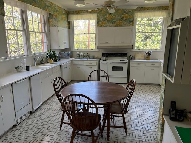 kitchen with white cabinetry, sink, and white appliances