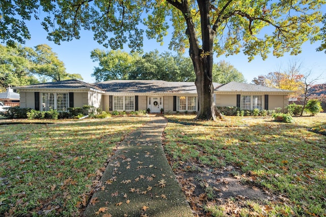 ranch-style home featuring a front lawn