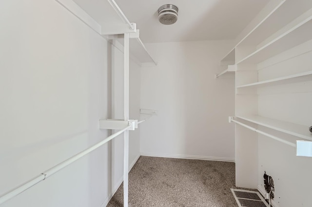 spacious closet with carpet flooring