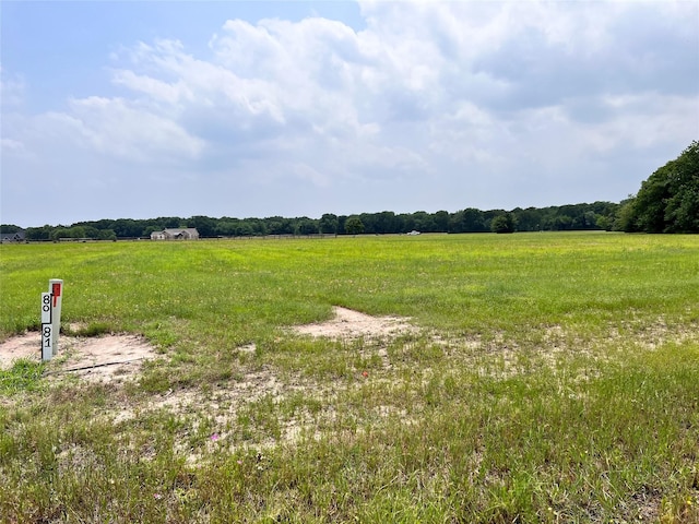 Listing photo 3 for LOT80 Clubhouse Dr, Corsicana TX 75109