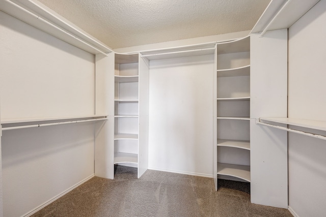 spacious closet with carpet flooring