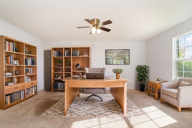 carpeted office featuring ceiling fan