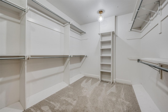 spacious closet featuring light colored carpet