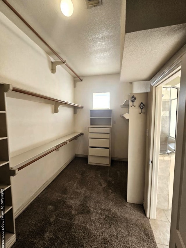 spacious closet featuring carpet flooring