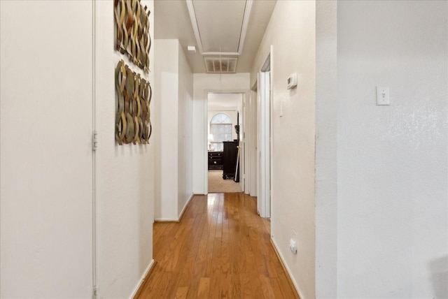 hall featuring light hardwood / wood-style floors